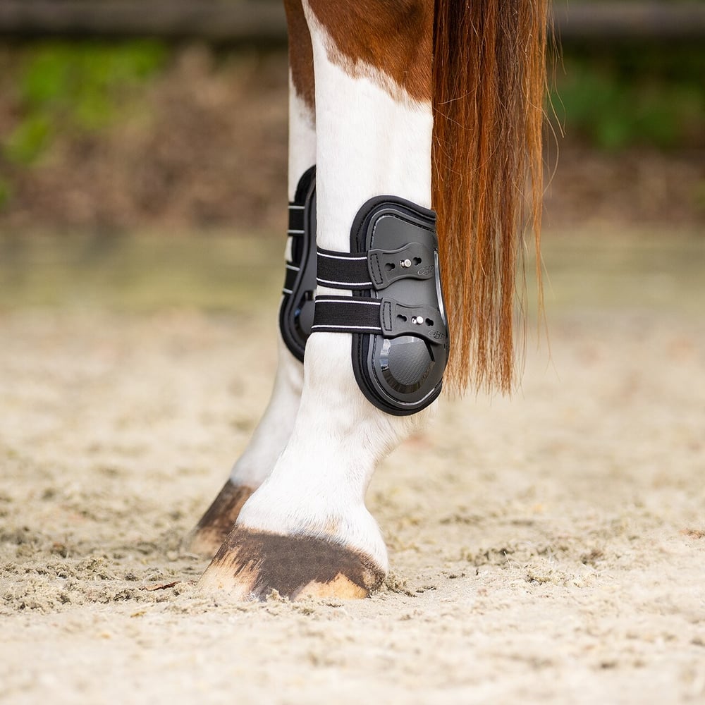 QHP Champion Arka Getr (Fetlock Boots)