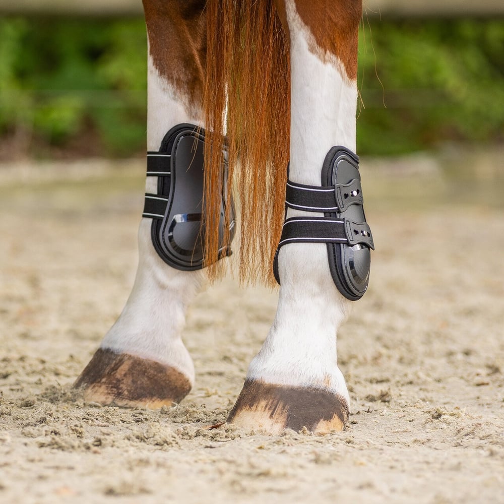 QHP Champion Arka Getr (Fetlock Boots)