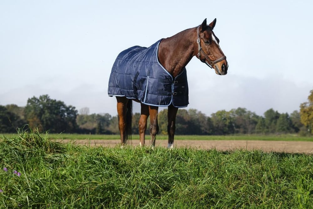 Riding World Ahır Blanketi