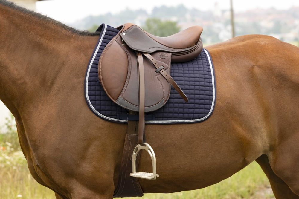 RIDING WORLD Girly Çok Amaçlı Eyer Altlığı - Lacivert (Pony Boyu)