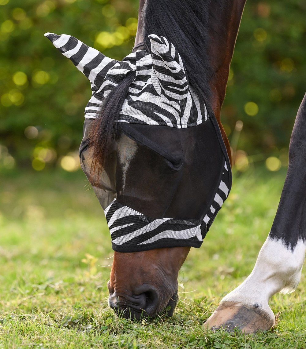 Sinek Maskesi - Zebra