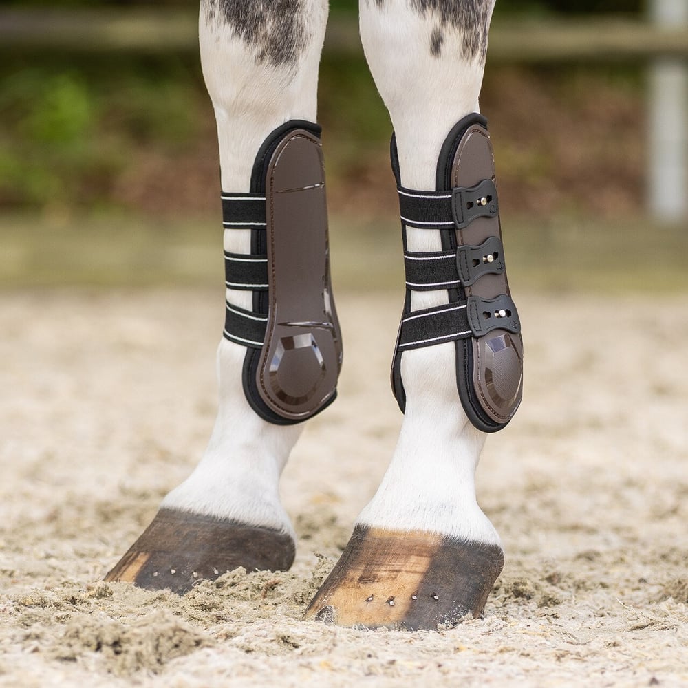 Tendon Koruma Getr Champion