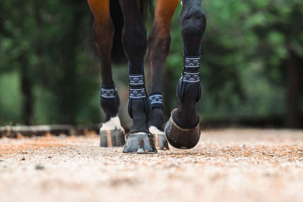 TRH5 Ön Tendon Koruyucu Getr - Siyah