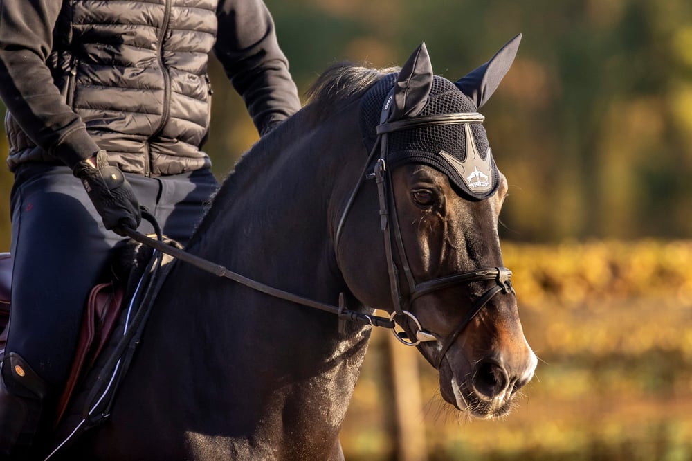 VEREDUS Fly Fringe Stability At Kulaklık - Siyah