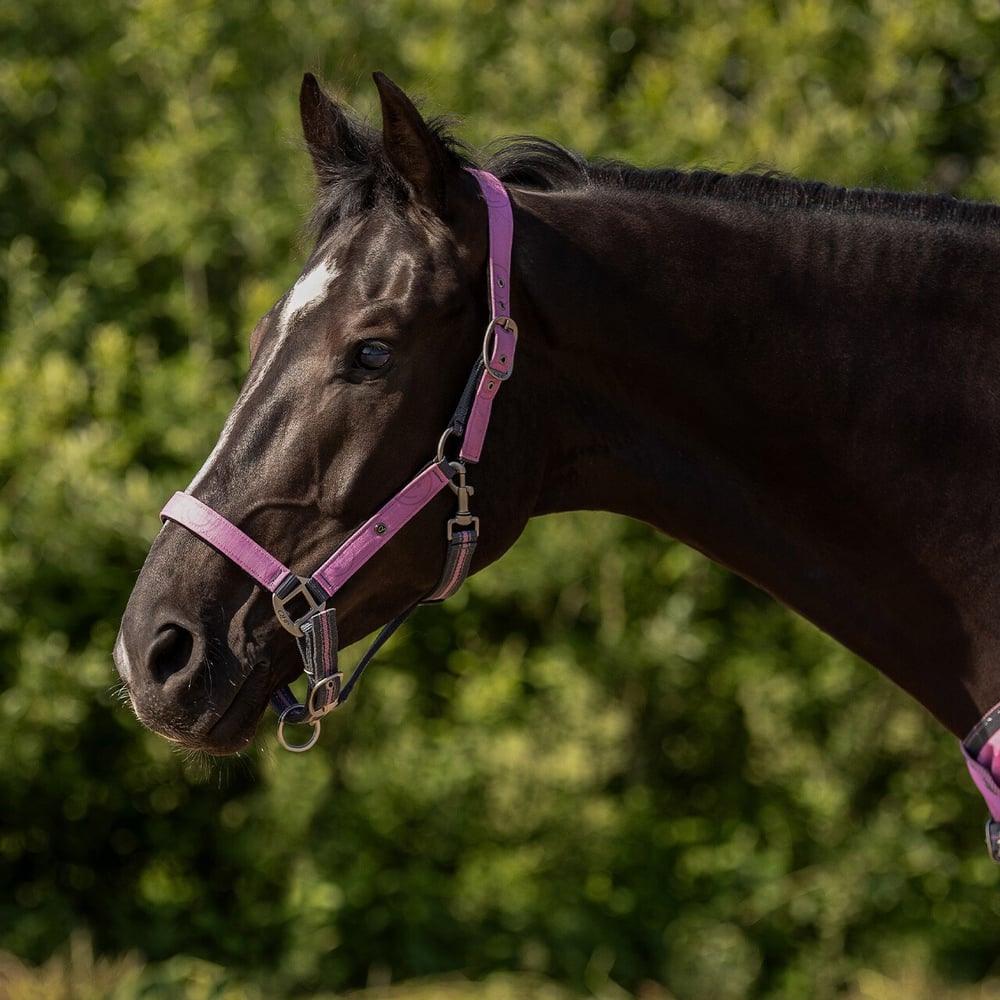 Yular Seti Turnout Koleksiyonu - Cherry Pink