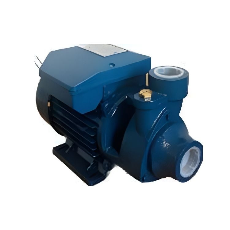 Amega TM 100 / Preferikal Sürtme Fanlı Pompa Krom Milli 1 HP