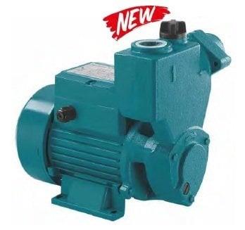 Momentum PKSm75 / Kendinden Emişli Sürtme Fanlı Pompa 220V - 1 HP
