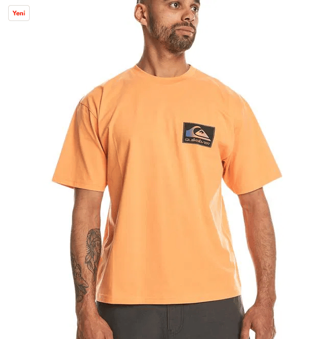 Quiksilver BACK FLASH SS
