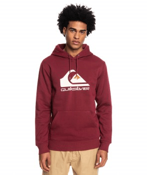 Quiksilver BIG LOGO HOOD
