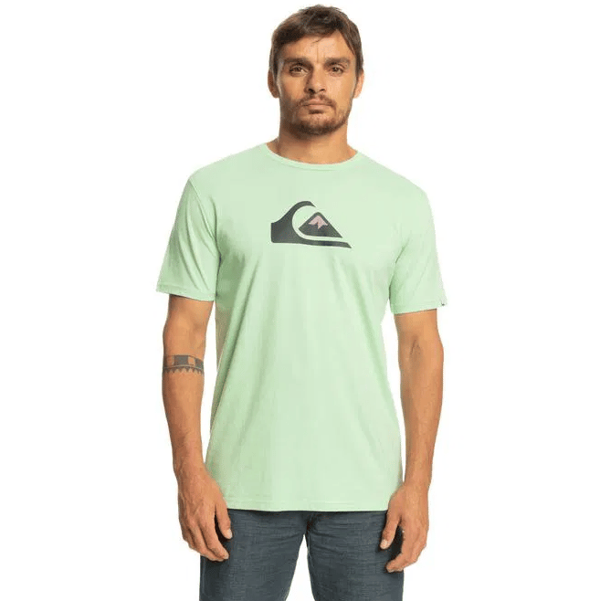 Quiksilver COMPLOGO M TEES