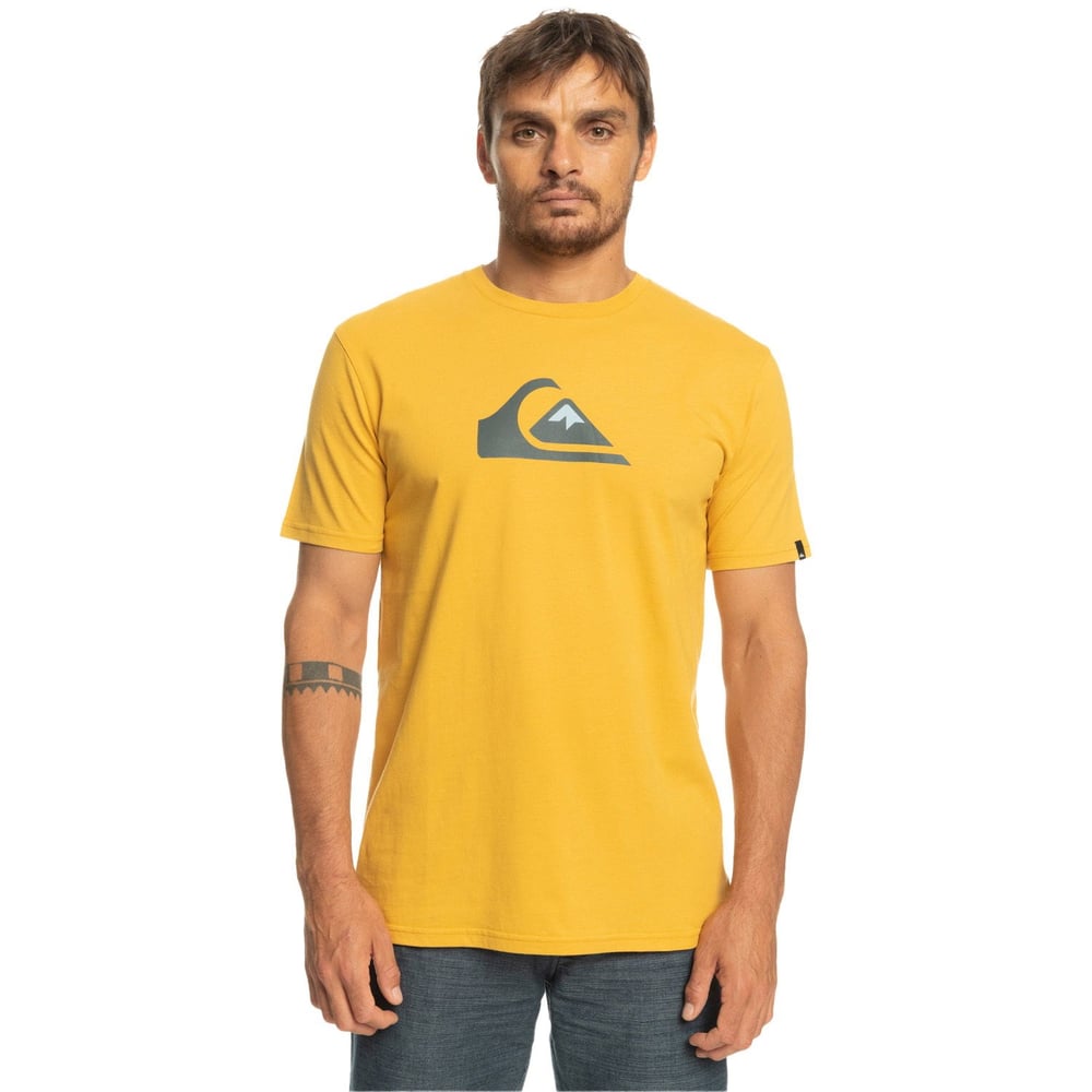 Quiksilver COMPLOGO M TEES