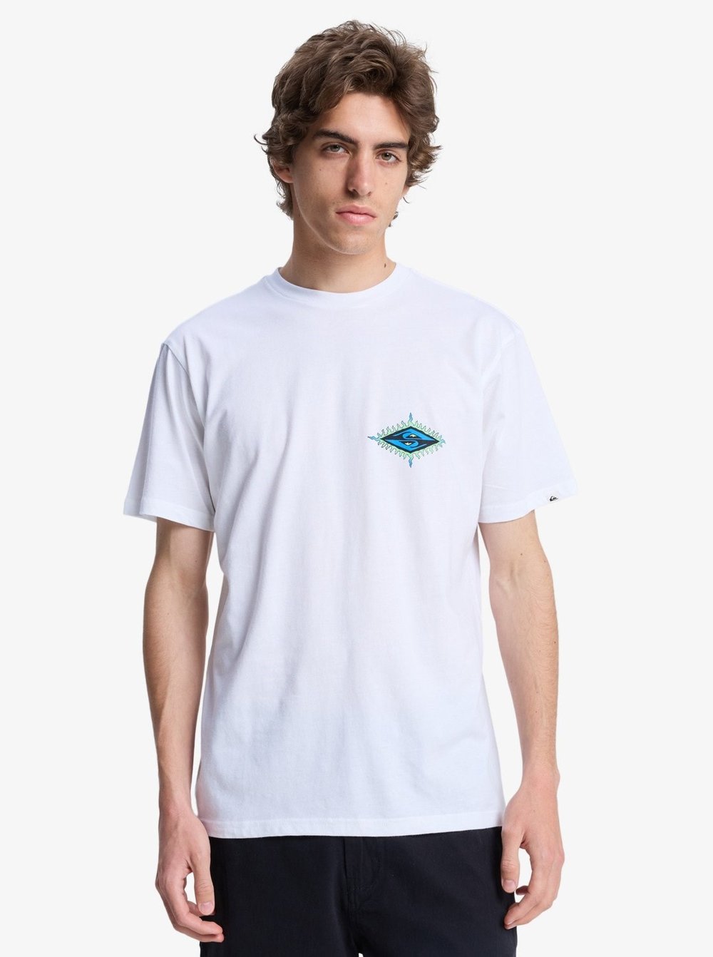 Quiksilver EV BEACH BLAST SS