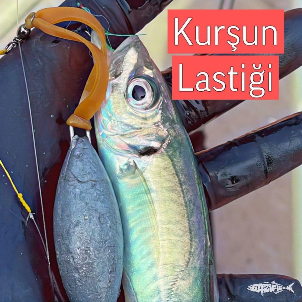 İstavrit Çaparisi Fırdöndülü Kurşun Lastiği