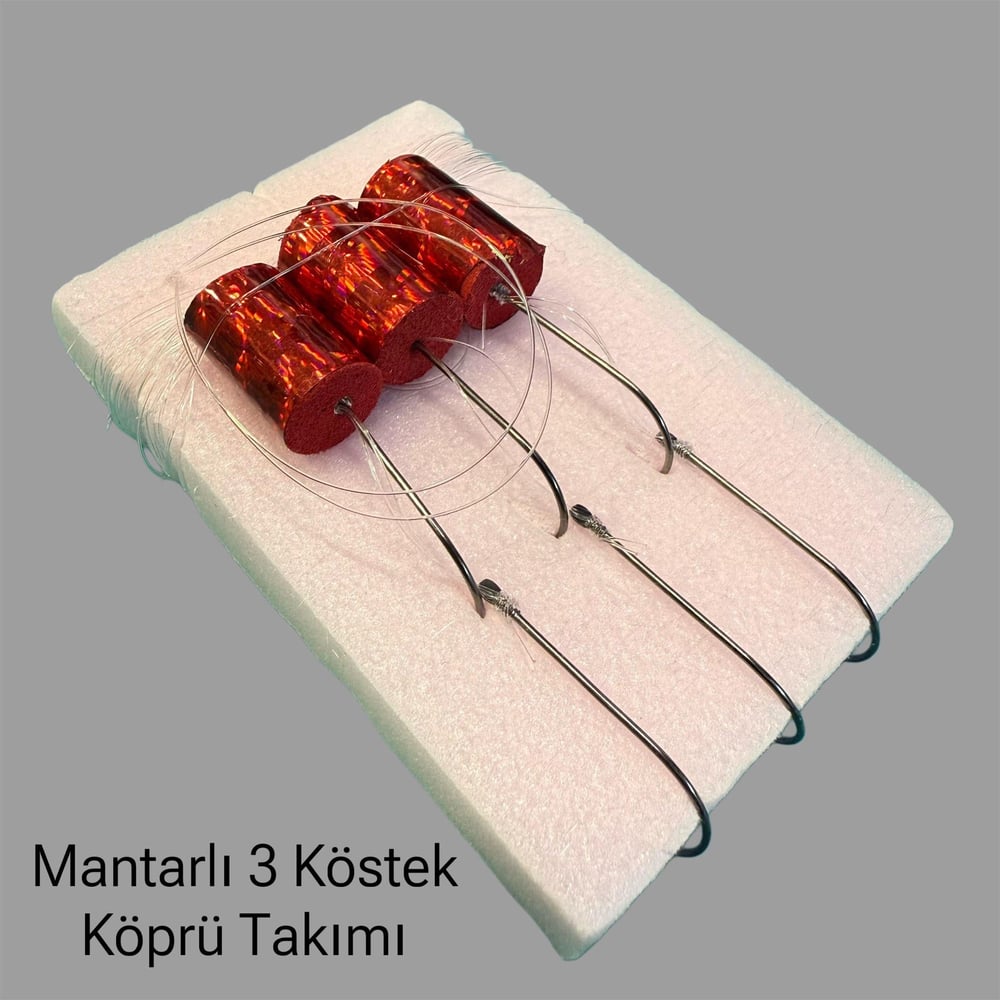 Köprü Asansör Takımı