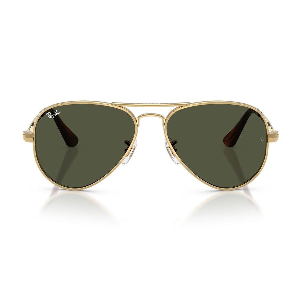 RAYBAN 3925 0131/58 ERKEK GÜNEŞ GÖZLÜĞÜ