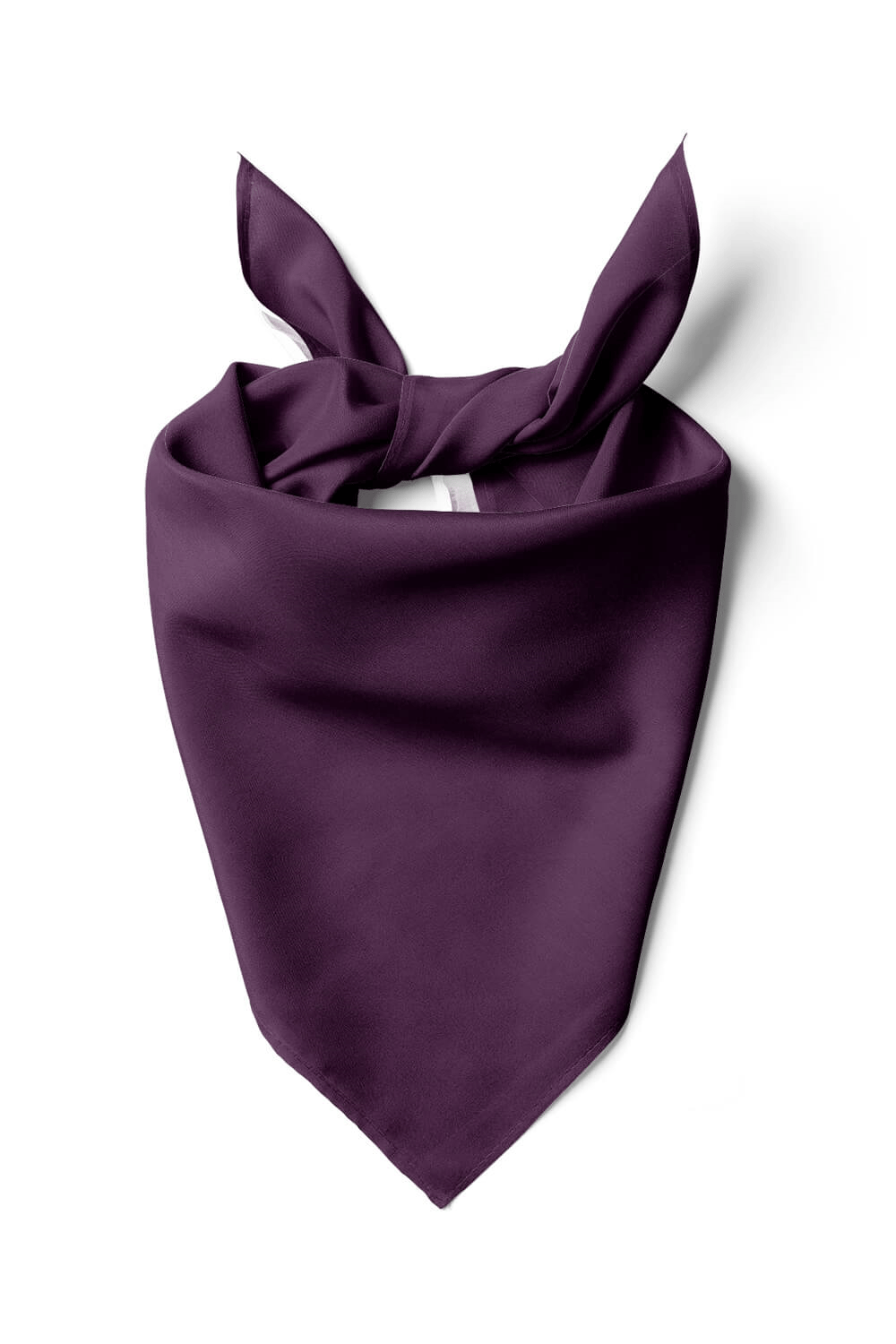 Şifon Mürdüm Bandana