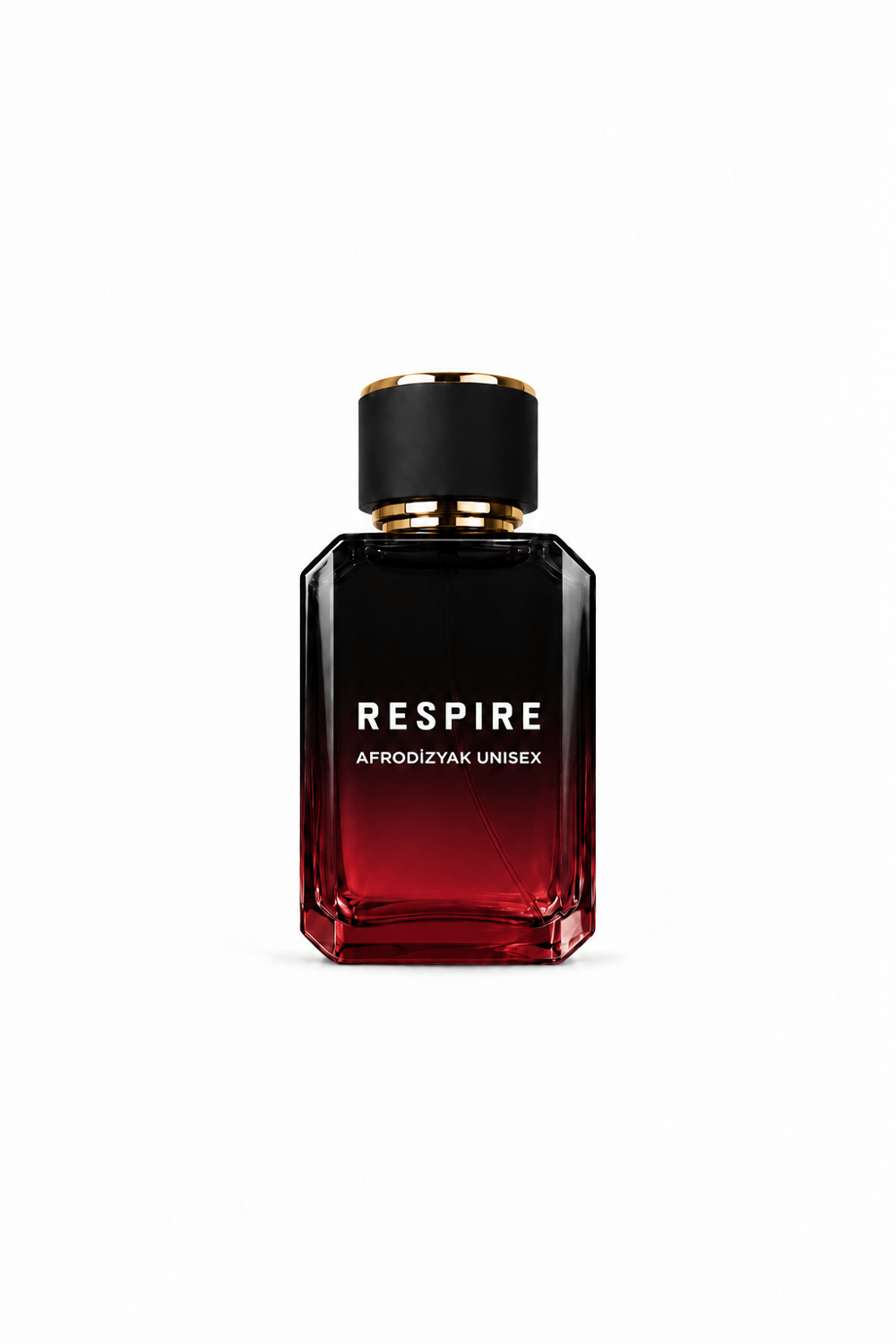 Erkek Unisex Parfüm 100 ml