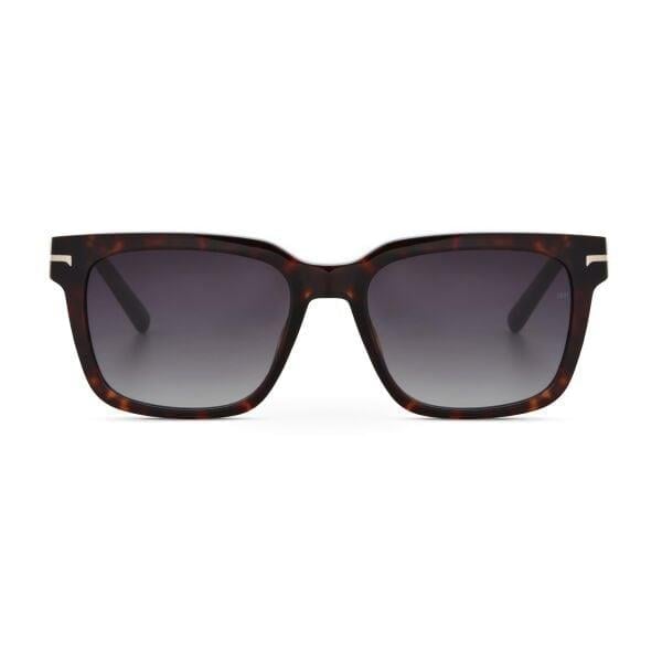 CERRUTI 1881 GÜNEŞ GÖZLÜĞÜ CR80010 54 C2