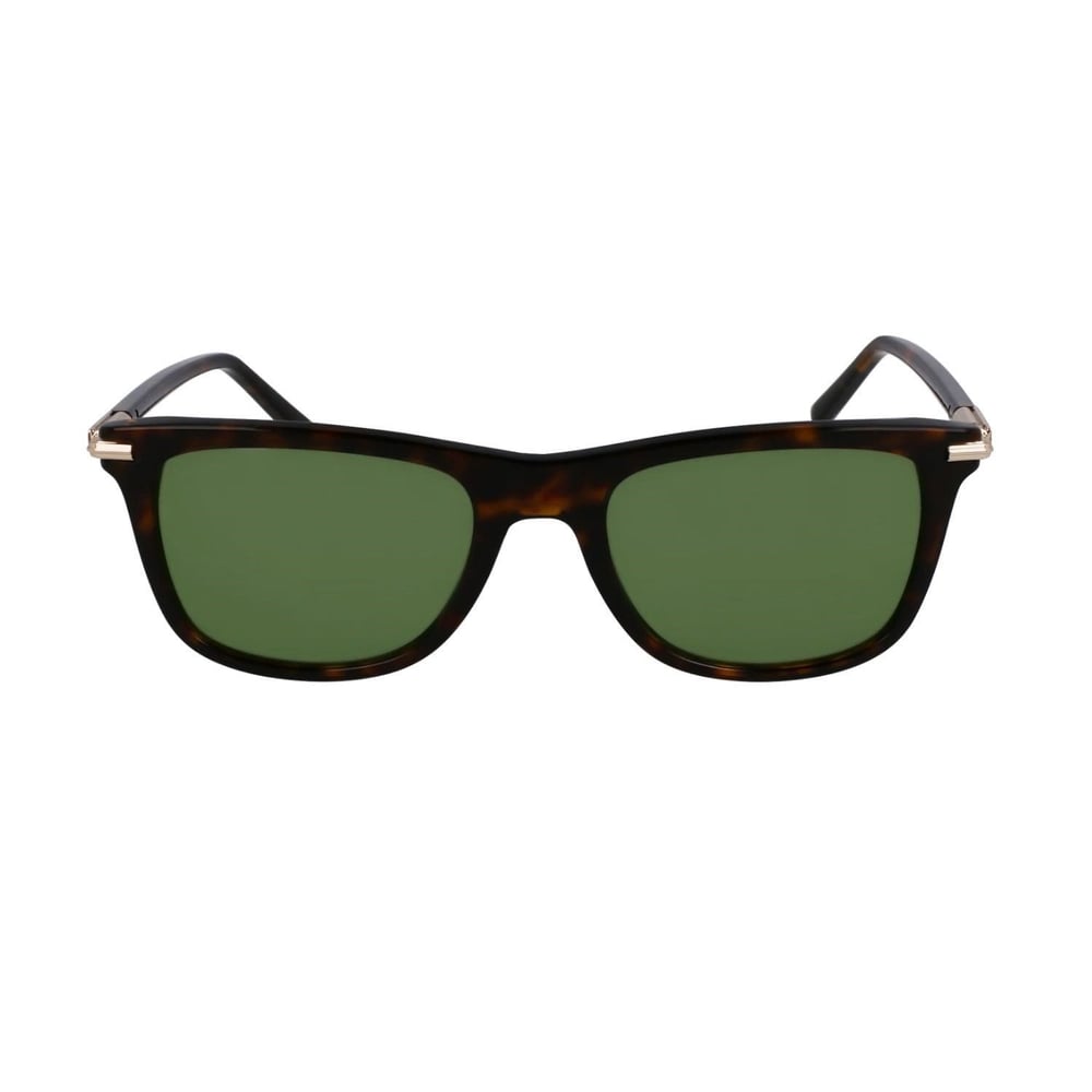 FERRAGAMO SF2028S 54 242