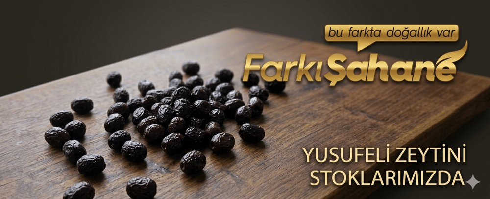 Yusufeli Zeytini