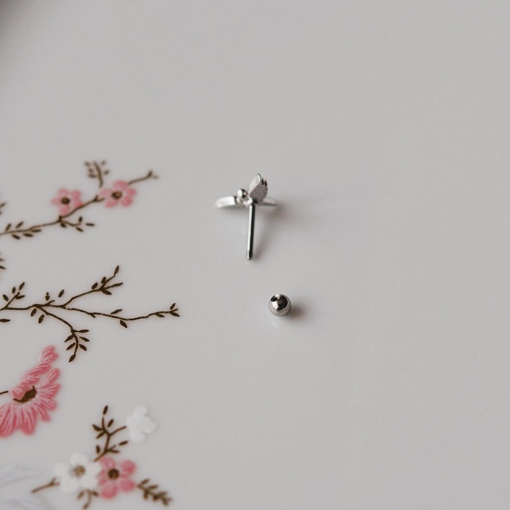 Anka Kuşu Helix Piercing Kıkırdak Cerrahi Çelik Gümüş Renk