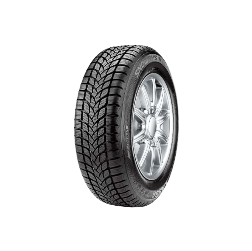 205/55R16 91H Snoways 4