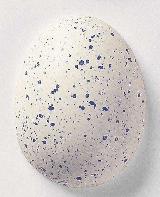 356-blaugranitti-e23-83.jpeg