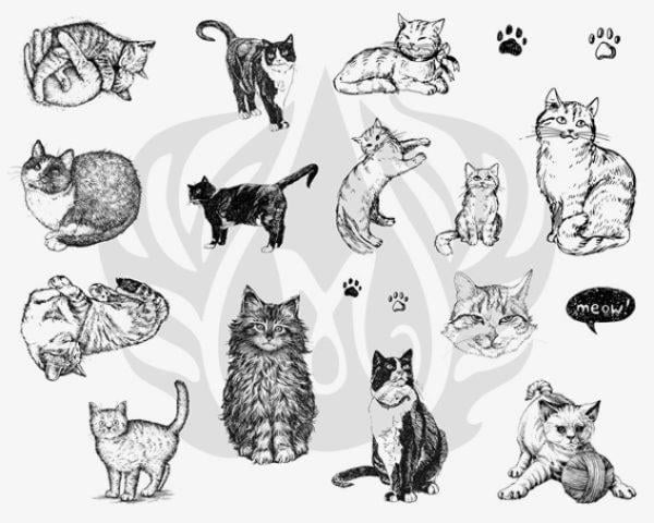 designer-silkscreen-cats-dss-0120-c1e016.jpeg