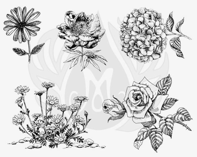 designer-silkscreen-flowers-3-xl-dss-0-95105b.jpeg