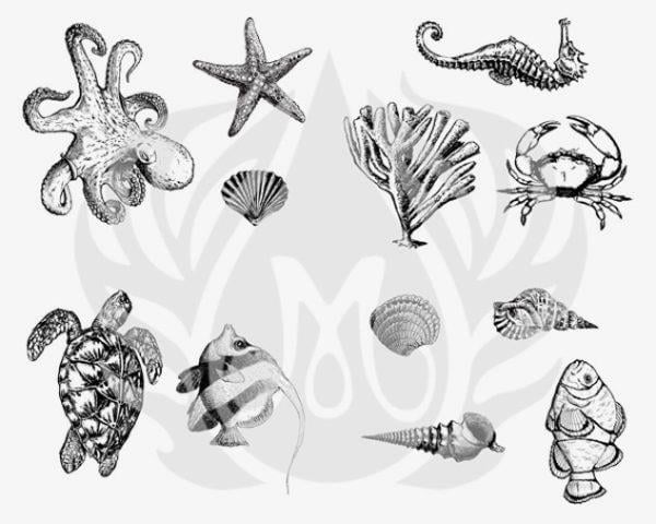 designer-silkscreen-sea-life-dss-0102-47ae7-.jpeg