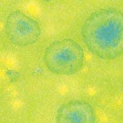 gz-liq-ctl-41-pt-melon-9a43-8.jpeg