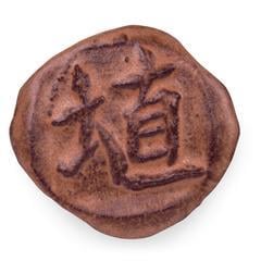 gz-liq-sh-52-pt-hibiscus-matte-36-9f8.jpeg