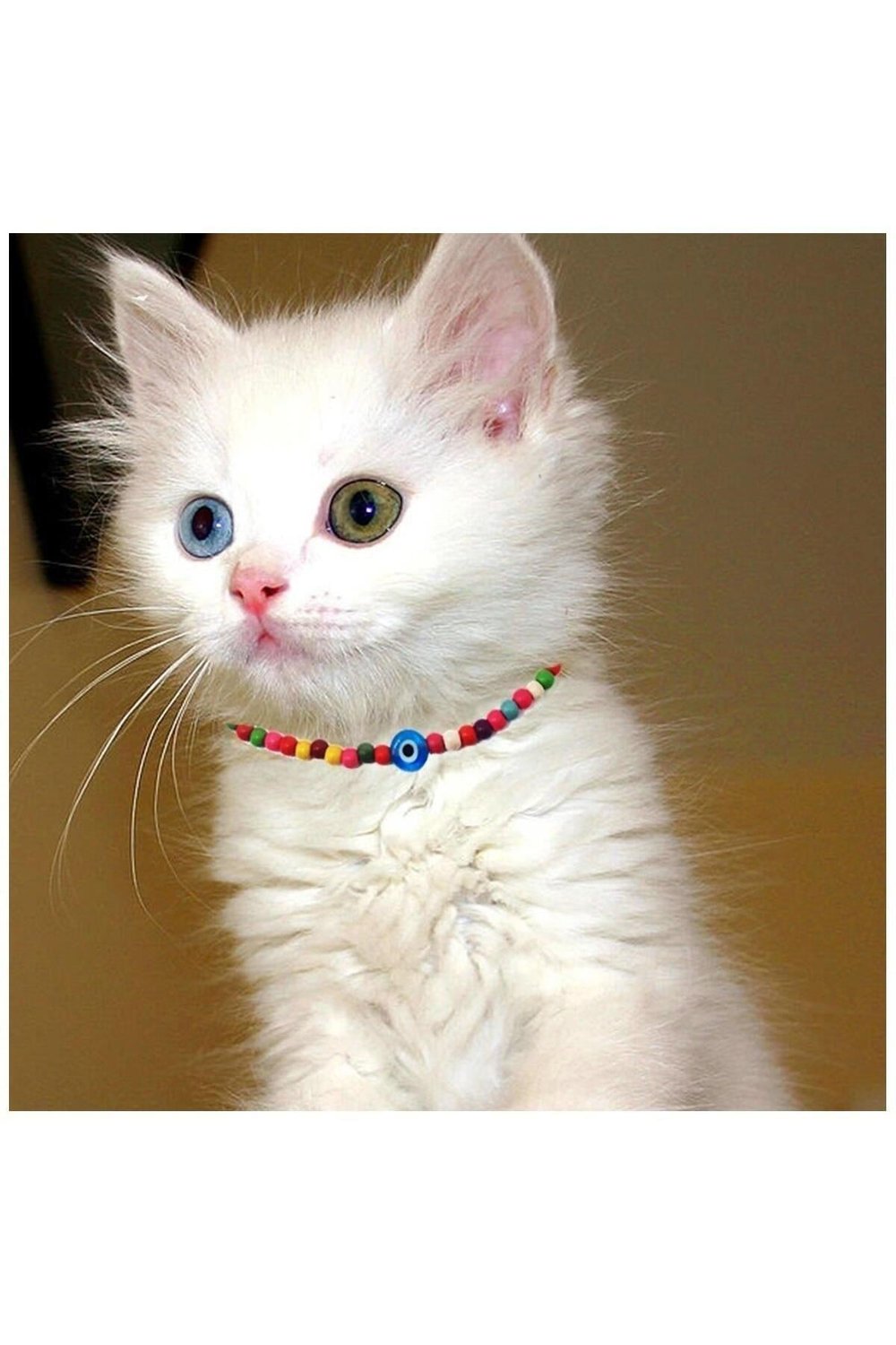 Karışık Renk Bambu Boncuk Nazar Boncuklu Kedi Tasması