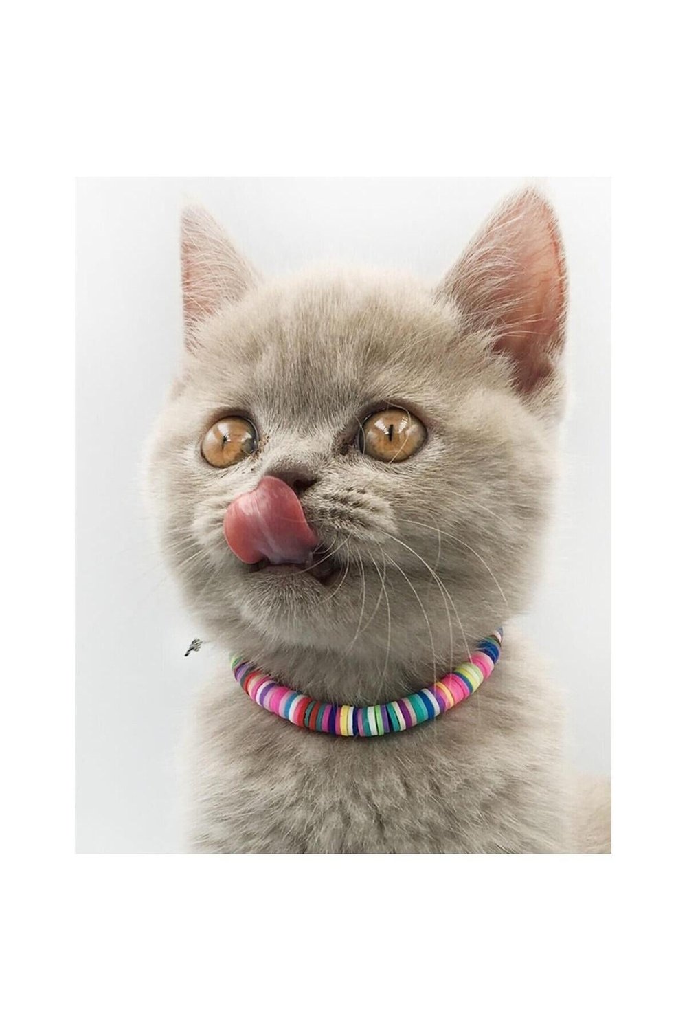 Karışık Renk Fimo Boncuk Kedi Tasması