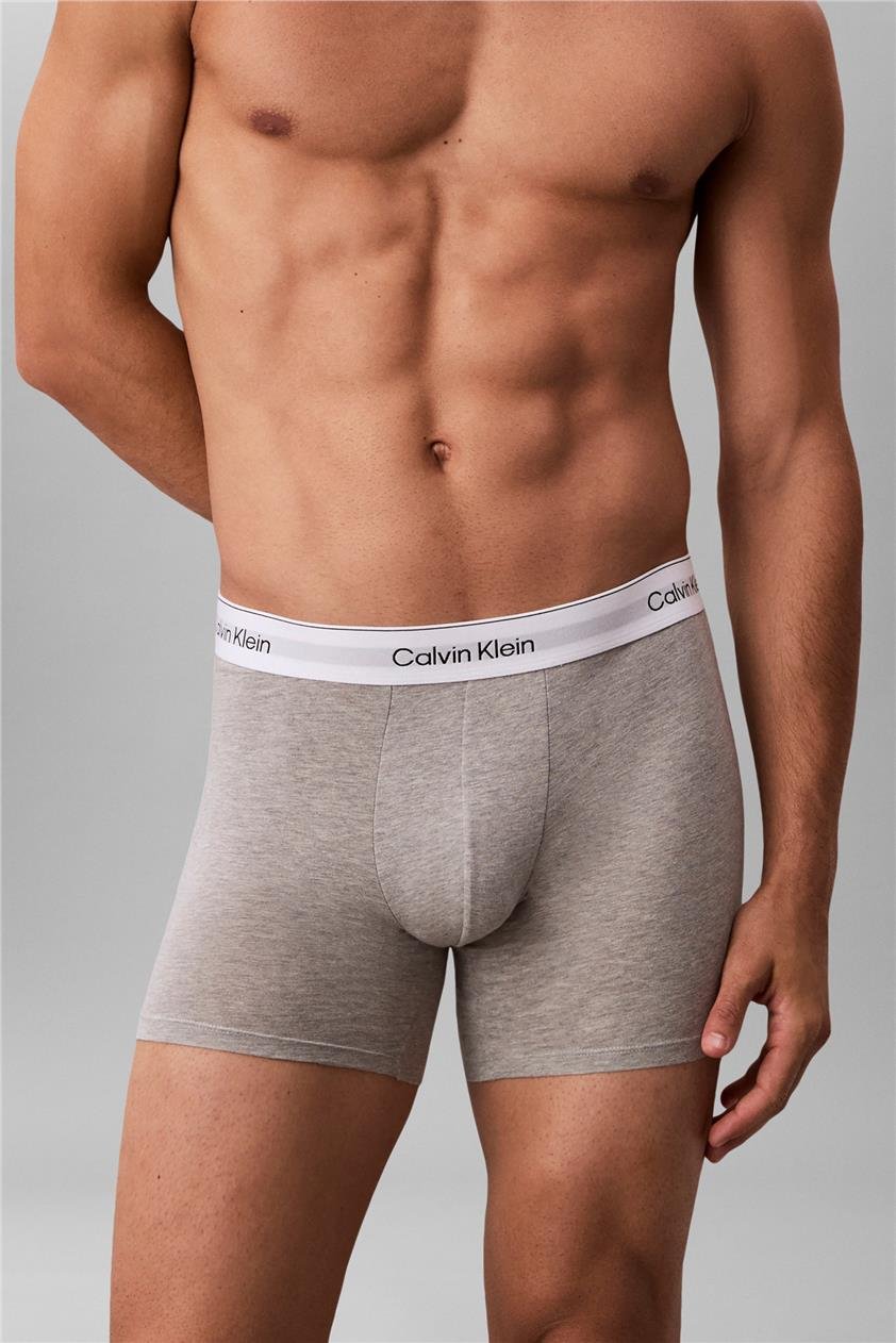 Calvin Klein Boxer Brief 3Pk Erkek 3lü Boxer Çok Renkli