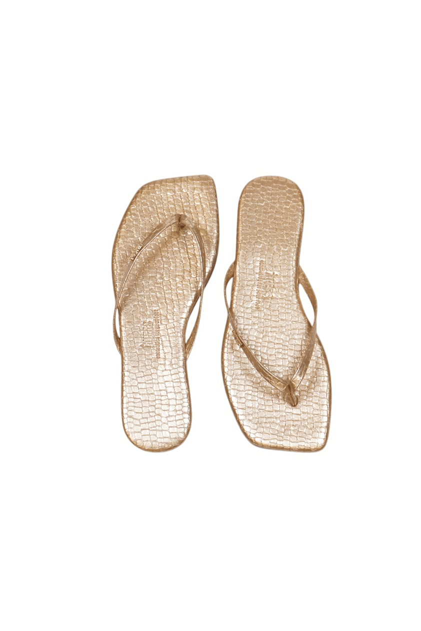 Tkees Kadın Crocodile Gold Metal Logo Kare Burun Terlik Çok Renkli