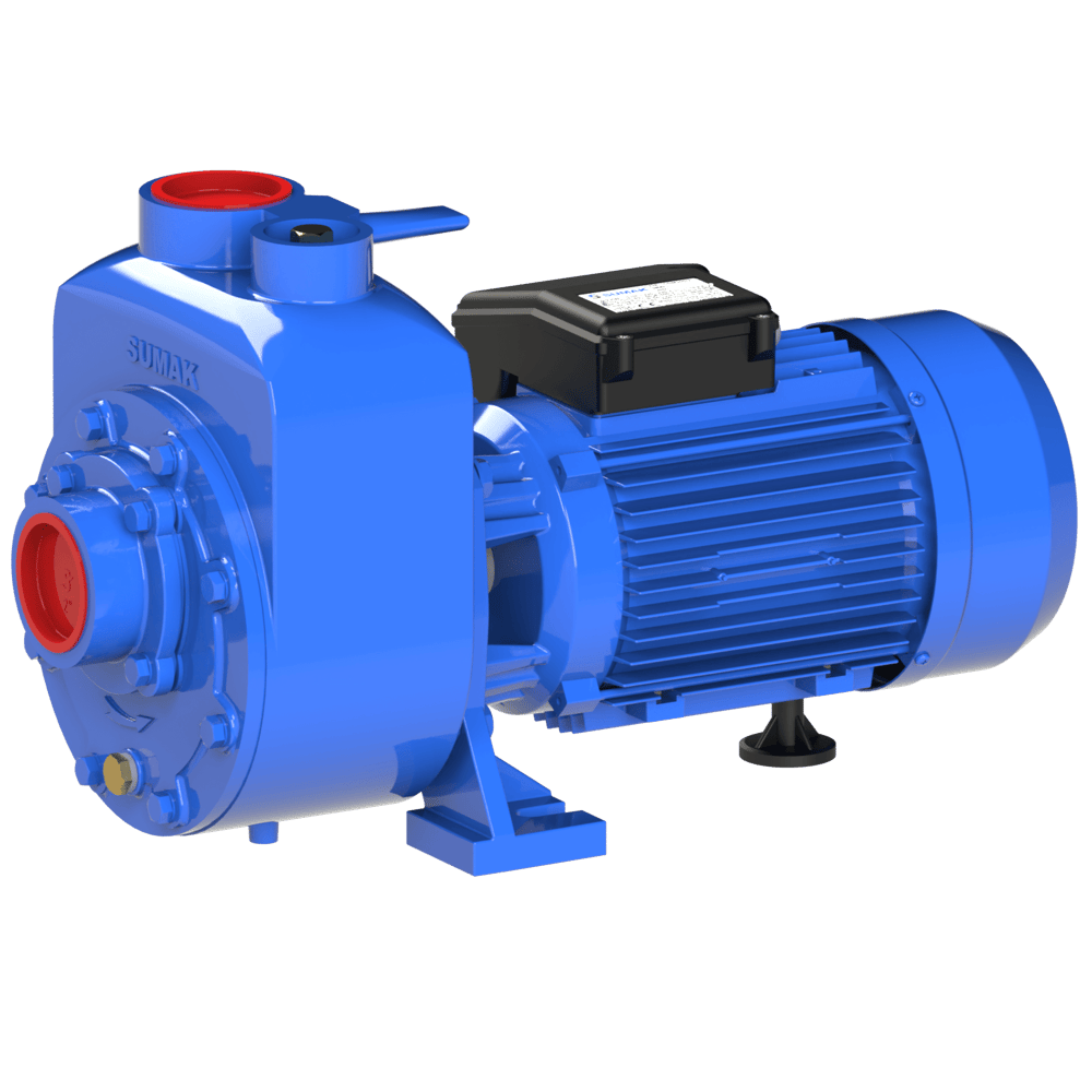 SUMAK DSM220/2 Kendinden Klapeli Atık Su Pompası | 1.6 kW - 220 V