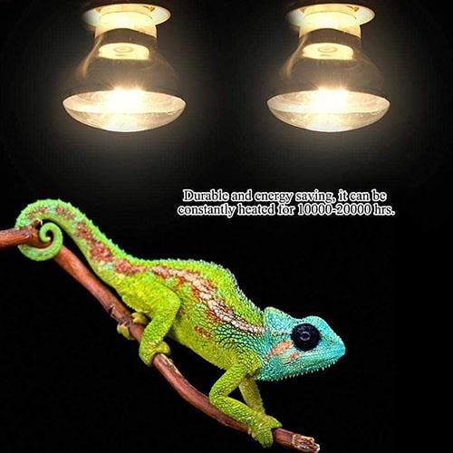 Sürüngen ve Kaplumbağa Isıtıcı Ampul 100 watt