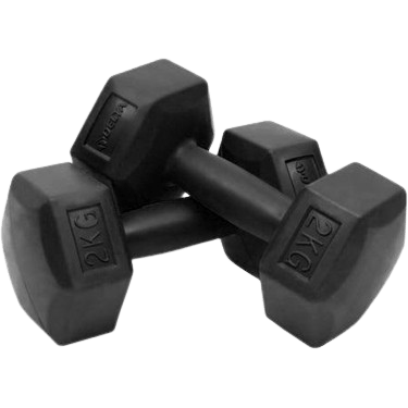 Delta SDL920 2 Kg Siyah Dambıl Çiftli