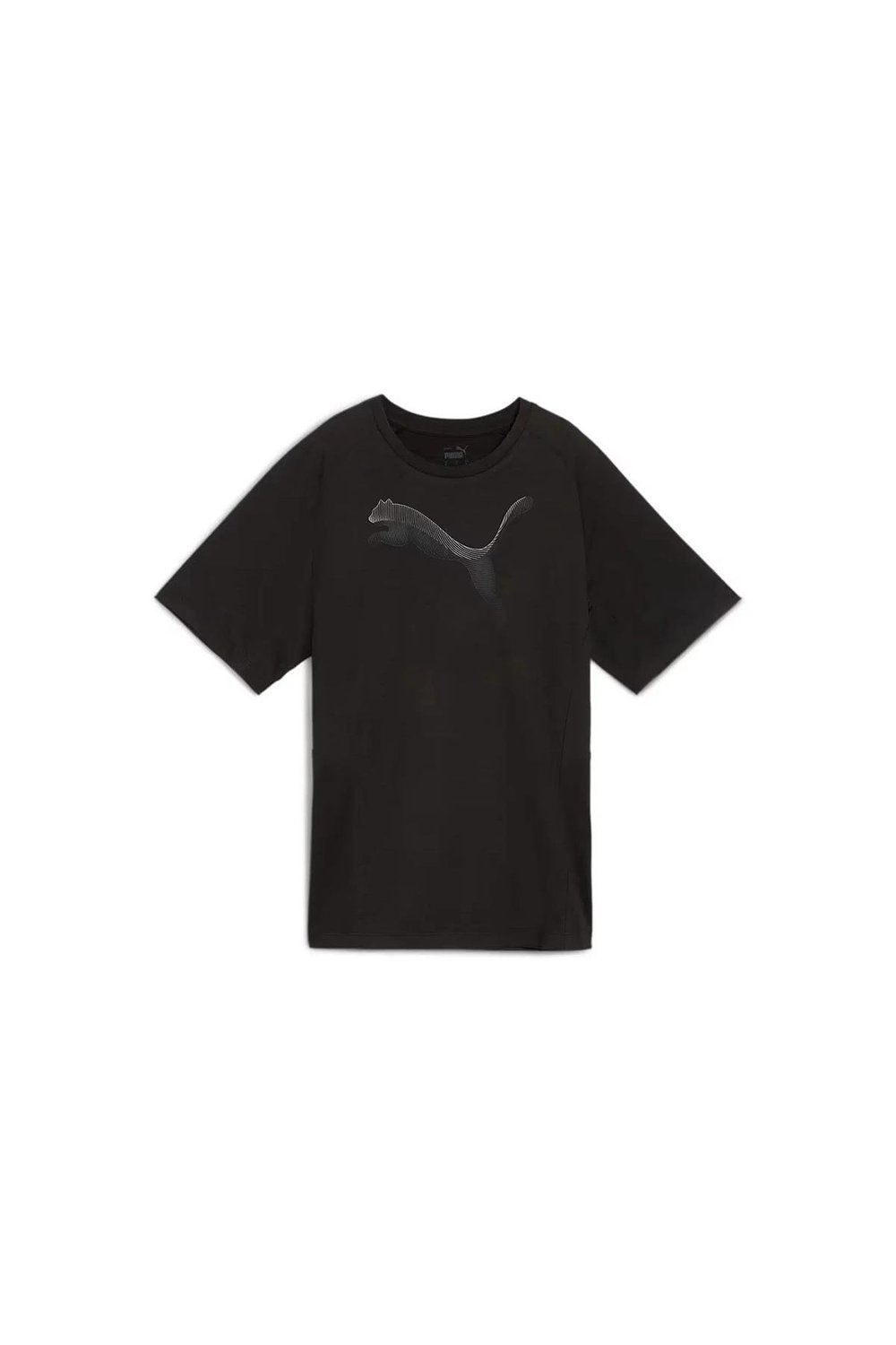 PUMA EVOSTRIPE TEE Giyim Kadın
