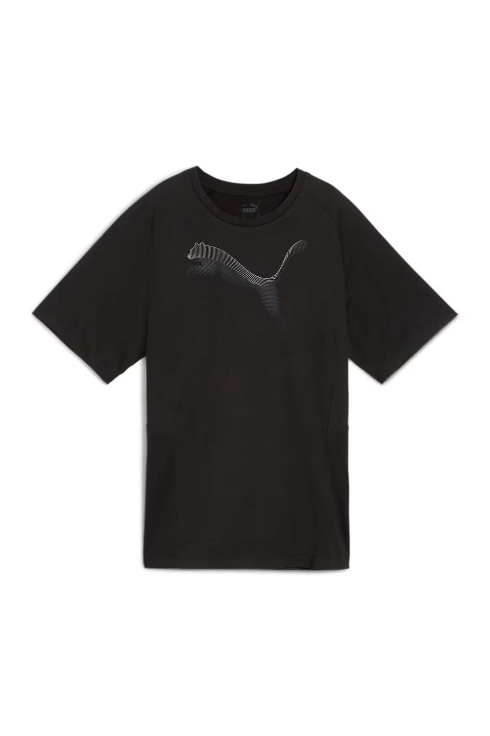 PUMA EVOSTRIPE TEE Giyim Kadın