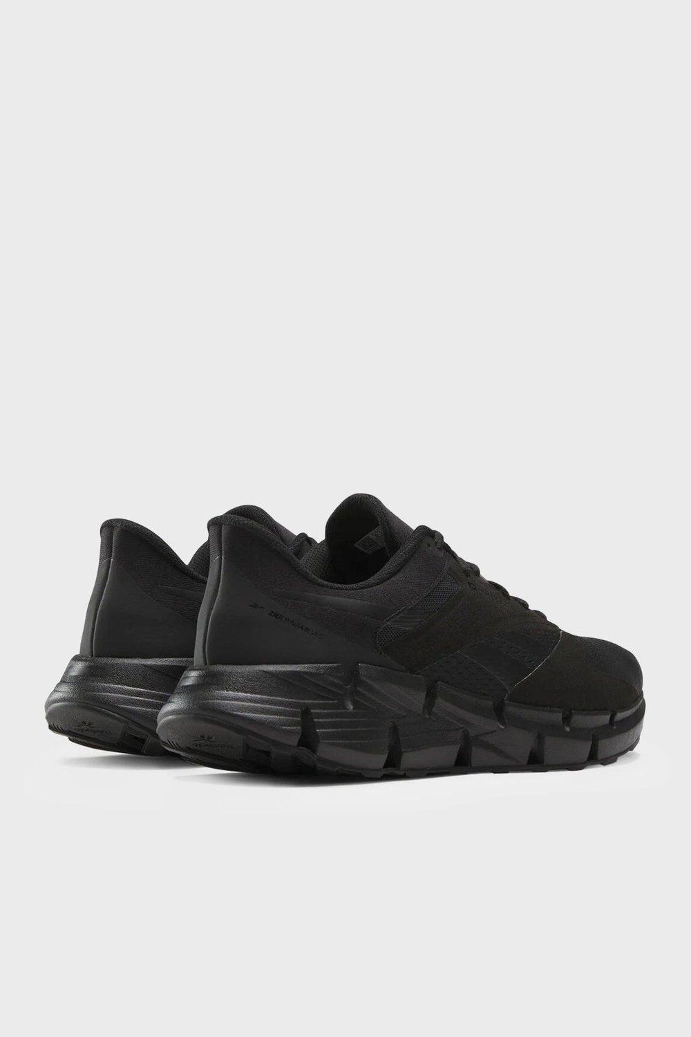 REEBOK ZIG DYNAMICA 5 Ayakkabı Erkek