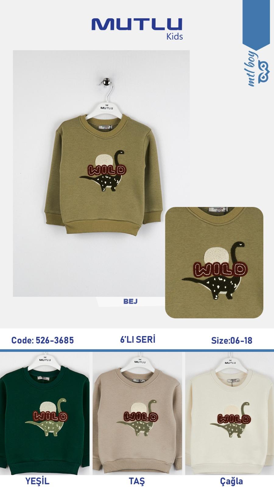 DİNAZOR NAKIŞLI ERKEK SWEAT