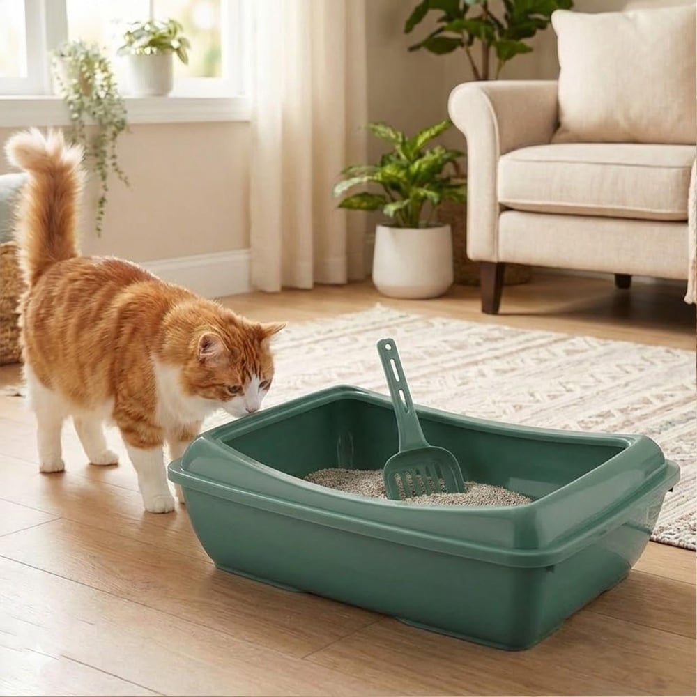 Büyük Açık Kedi Tuvaleti XXL