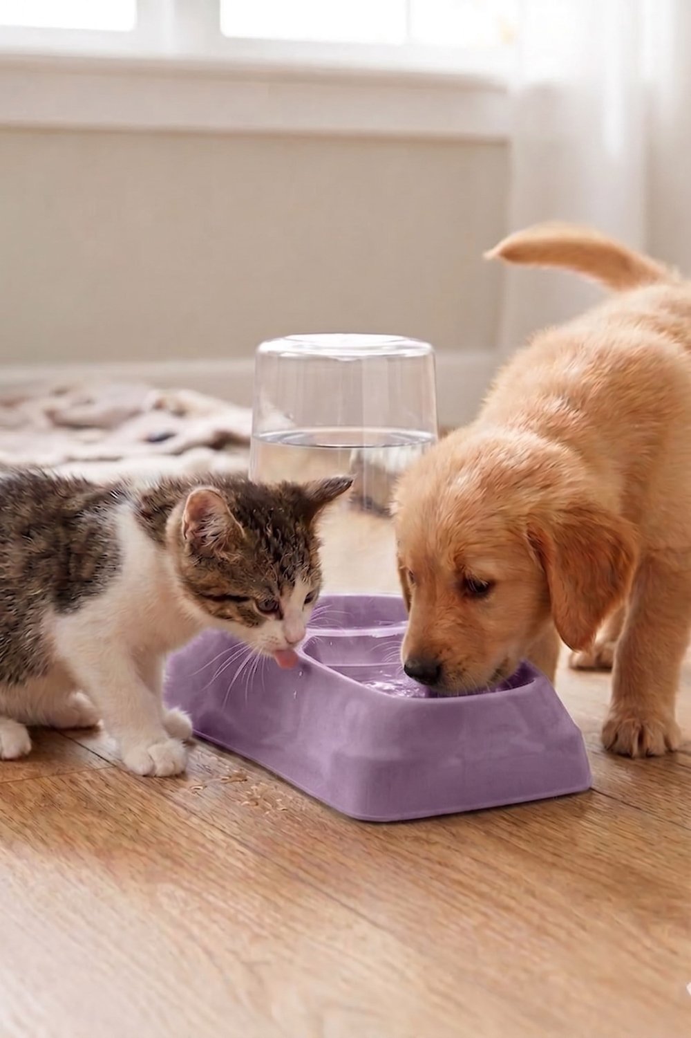 Hazneli Kedi Köpek Su ve Mama Kabı 1,75 LT