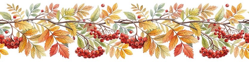 Bordür Rub On Transfer Ütü İle Baskı 150 cm RK 111