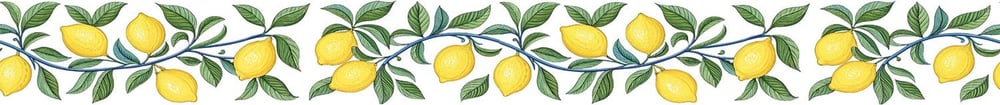 Bordür Rub On Transfer Ütü İle Baskı 150 cm RK 147