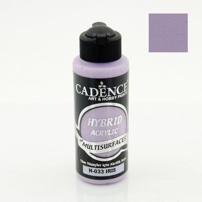 h033-iris-multisurfaces-120ml-e1-4e3.jpg