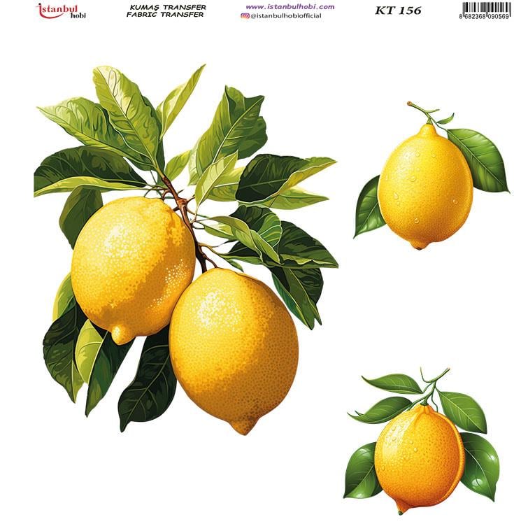 Kumaş Transfer Ütü İle Baskı 20 x 20 cm KT 156