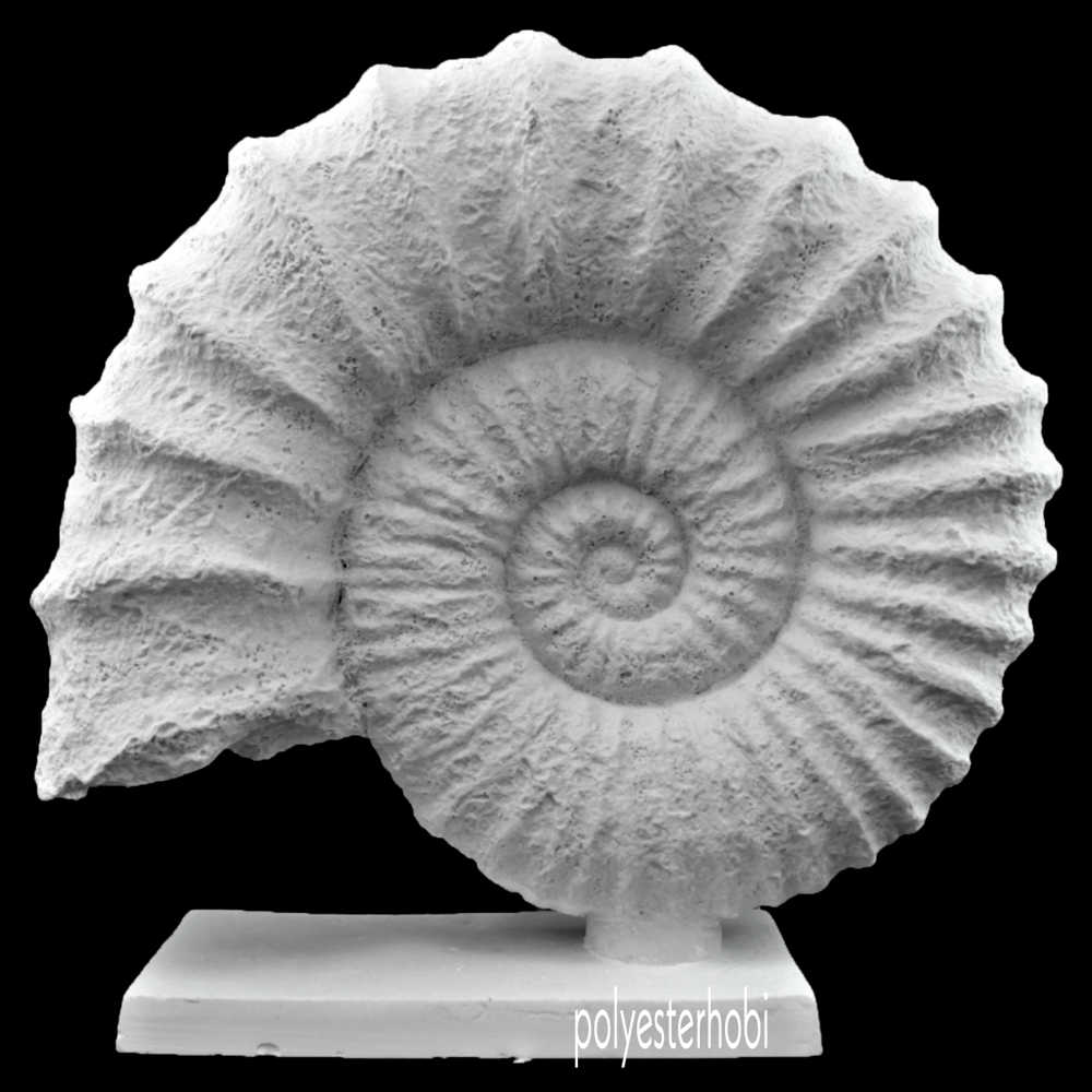 ob-1366-kaideli-deniz-kabugu-ham-polye-6bf0-4.png